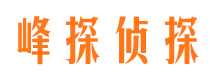 庆安婚外情调查